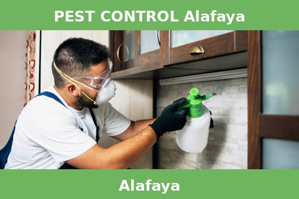 PEST CONTROL Alafaya